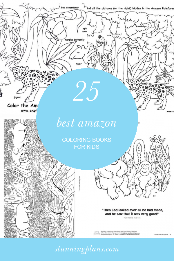 25 Best Amazon Coloring Books for Kids Home, Family, Style and Art Ideas